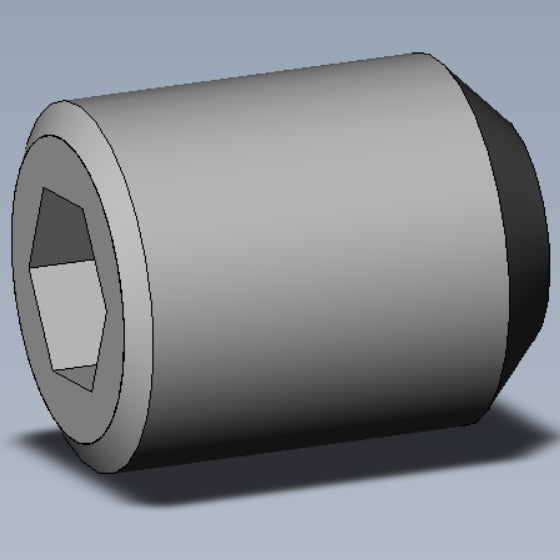 SKT SS CUP ISO4029 DAC M8x10-102-110152